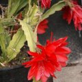dsc05627