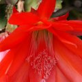 dsc05629