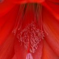 dsc05630