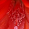 dsc05632