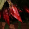 dsc05635