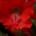 dsc05636