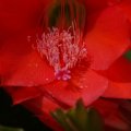 dsc05637