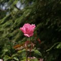 dsc05648