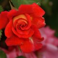 dsc05709