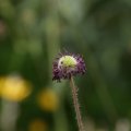 dsc05754