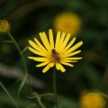 dsc05759