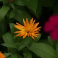 dsc05869