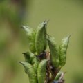 dsc05881
