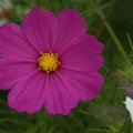 dsc05887