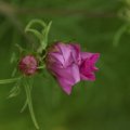 dsc05891