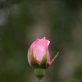 dsc05937