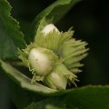 dsc05946