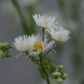 dsc06069