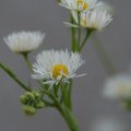 dsc06070