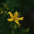 dsc06075
