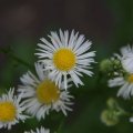 dsc06076