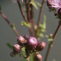 dsc06095