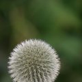 dsc06253