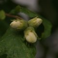 dsc06484
