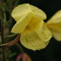 dsc06497
