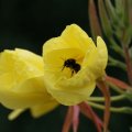 dsc06500
