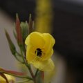 dsc06508