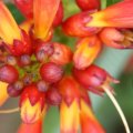 dsc06530