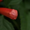 dsc06535