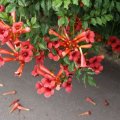 dsc06548
