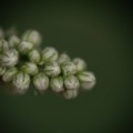 dsc06580