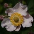 dsc06666