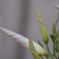 dsc06757