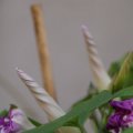 dsc06758
