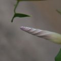 dsc06768