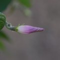 dsc06769