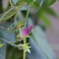 dsc06770