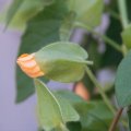dsc06779