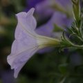 dsc06780