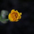 dsc06850