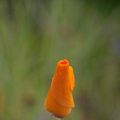 dsc06857