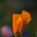 dsc06858