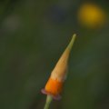 dsc06859