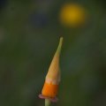dsc06860