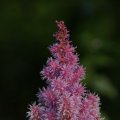 dsc06870