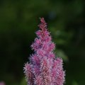 dsc06871