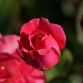 dsc06877