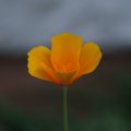 dsc06889