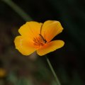 dsc06901