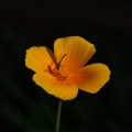 dsc06907